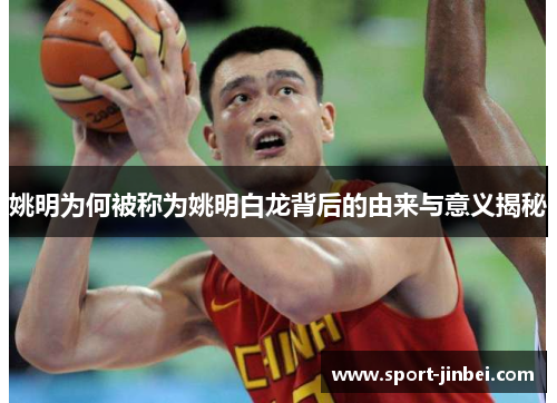 姚明为何被称为姚明白龙背后的由来与意义揭秘 姚明为何被称为姚明白龙背后的由来与意义揭秘