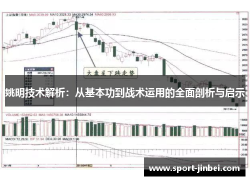 姚明技术解析：从基本功到战术运用的全面剖析与启示